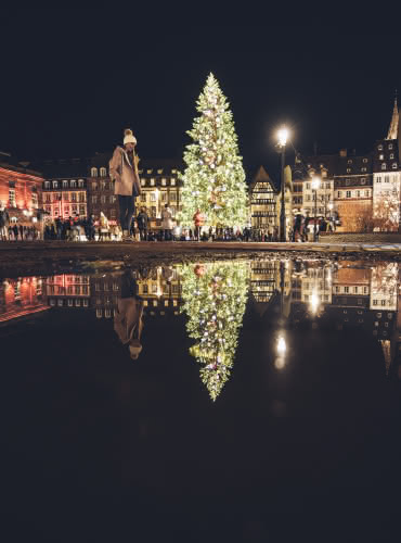 Grand Sapin - Noël à Strasbourg - Alsace